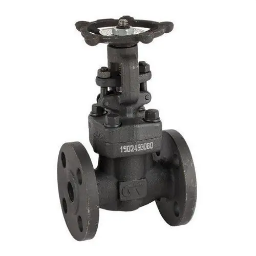 A Buen Precio VÁLVULA COMPUERTA 2232A BRIDA ANSI-150 2"
