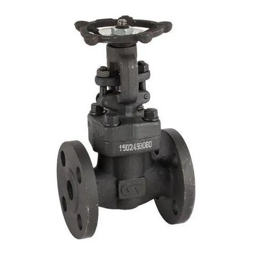 VÁLVULA COMPUERTA 2232A BRIDA ANSI-150 1/2" Favorito De Clientes
