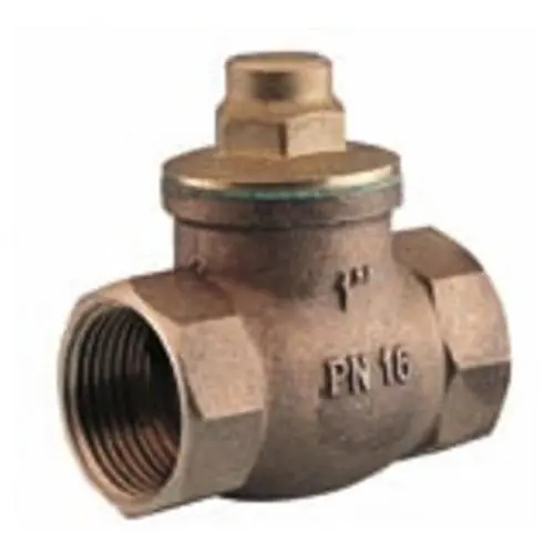 VÁLVULA RETENCIÓN CLAPETA H-1/2" CAÑO TEFLÓN Descuento