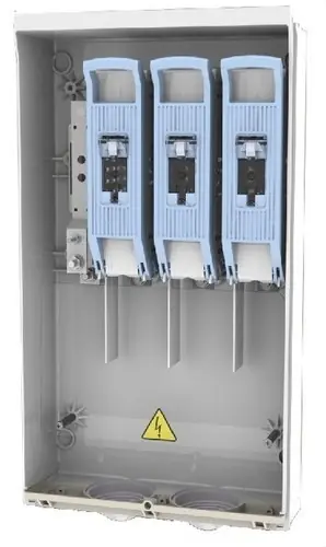 No Te Lo Pierdas CAJA GENERAL DE PROTECCIÓN NHCT1 250/8 BUC