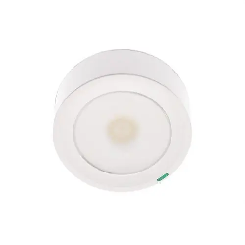 LUMINARIA DE EMERGENCIA ESTÁNDAR 100lm NP 1h DE AUTONOMÍA Stock Limitado