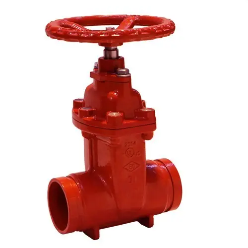 Disponible Ahora VÁLVULA COMPUERTA RANURADA 600 DN50 DIÁMETRO 2"