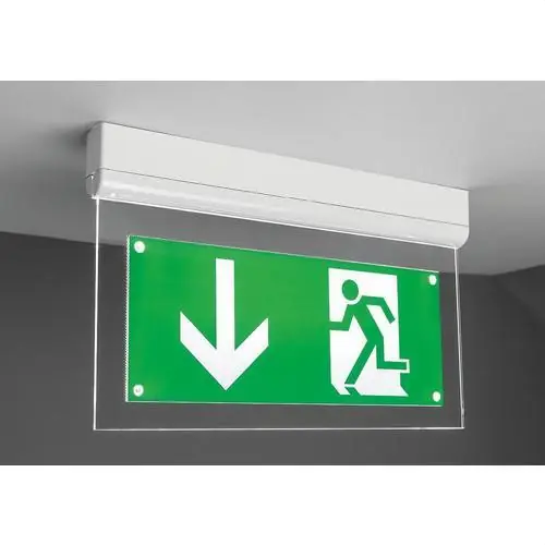 LUMINARIA SEÑALIZACIÓN SIGNAL 7 LED 3h PERMANENTE AUTOTEST IP20 BLANCO Oferta De Temporada