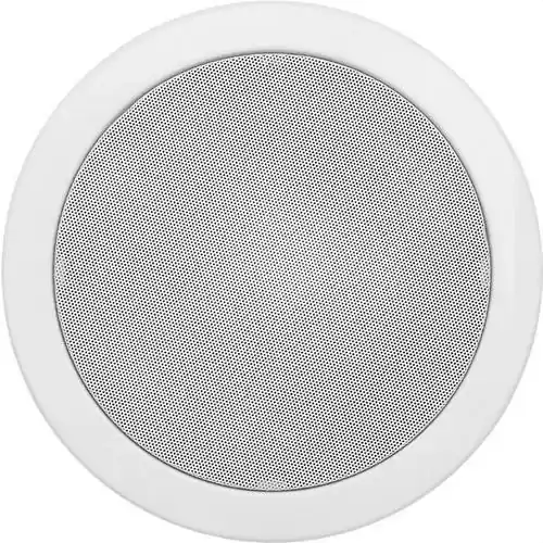 Marca Reconocida ALTAVOZ RCS-8T 8" CON TRANSFORMADOR LÍNEA 100V