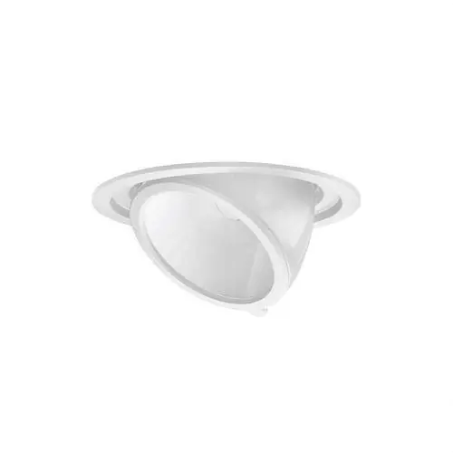 Disponible Ahora DOWNLIGHT DORFIN 21W 1428lm LED CARNE REFLECTOR INTENSIVO BLANCO