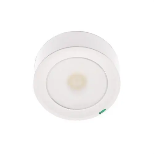 Envío Exprés LUMINARIA DE EMERGENCIA ESTÁNDAR 100lm P/NP 1h DE AUTONOMÍA