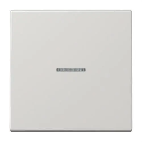 Popular TECLA KNX CON VISOR GRIS CLARO