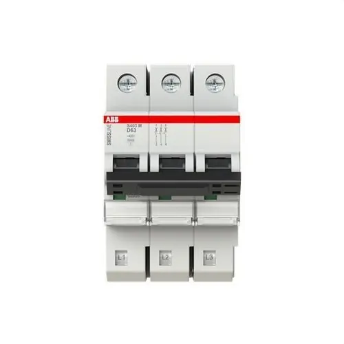 INTERRUPTOR AUTOMÁTICO SMISSLINE S403M-D63 Solo Por Tiempo Limitado