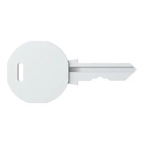 Oferta Especial LLAVE DE RECAMBIO V2432E PARA CERRADURA 832030