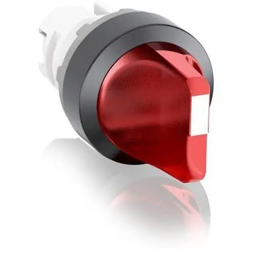 SELECTOR M2SS2-11R Pago Seguro